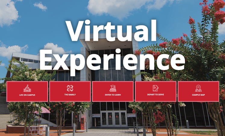 Virtual Experience