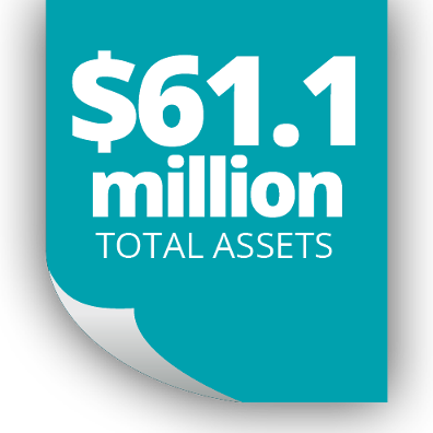 Total Assets 61.1 million
