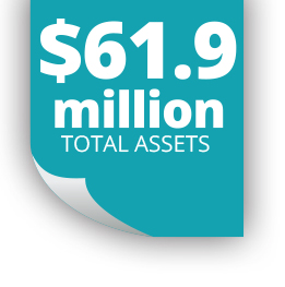 61.9 million total assets