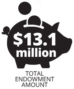 Total endowment amount 13.1 million