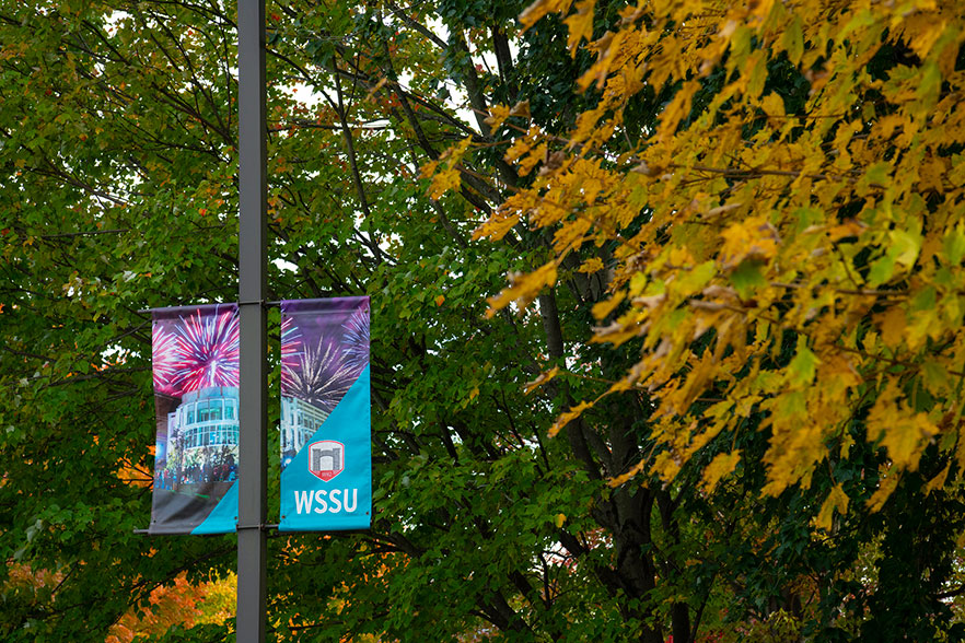 WSSU sign with tree with fall colors in background.