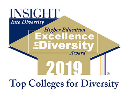 Logo: Insight Into Diversity: Higher Education Excellence in Diversity Award 2019