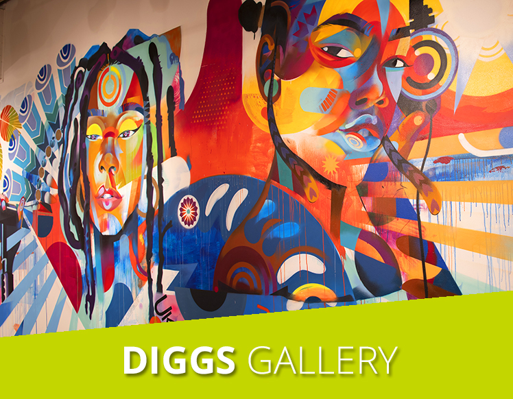 Diggs Gallery