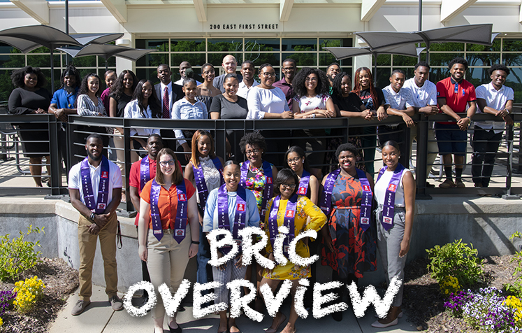 Bric Overview