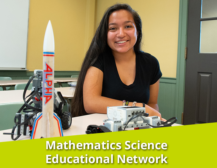 Mathematics Science Education Network